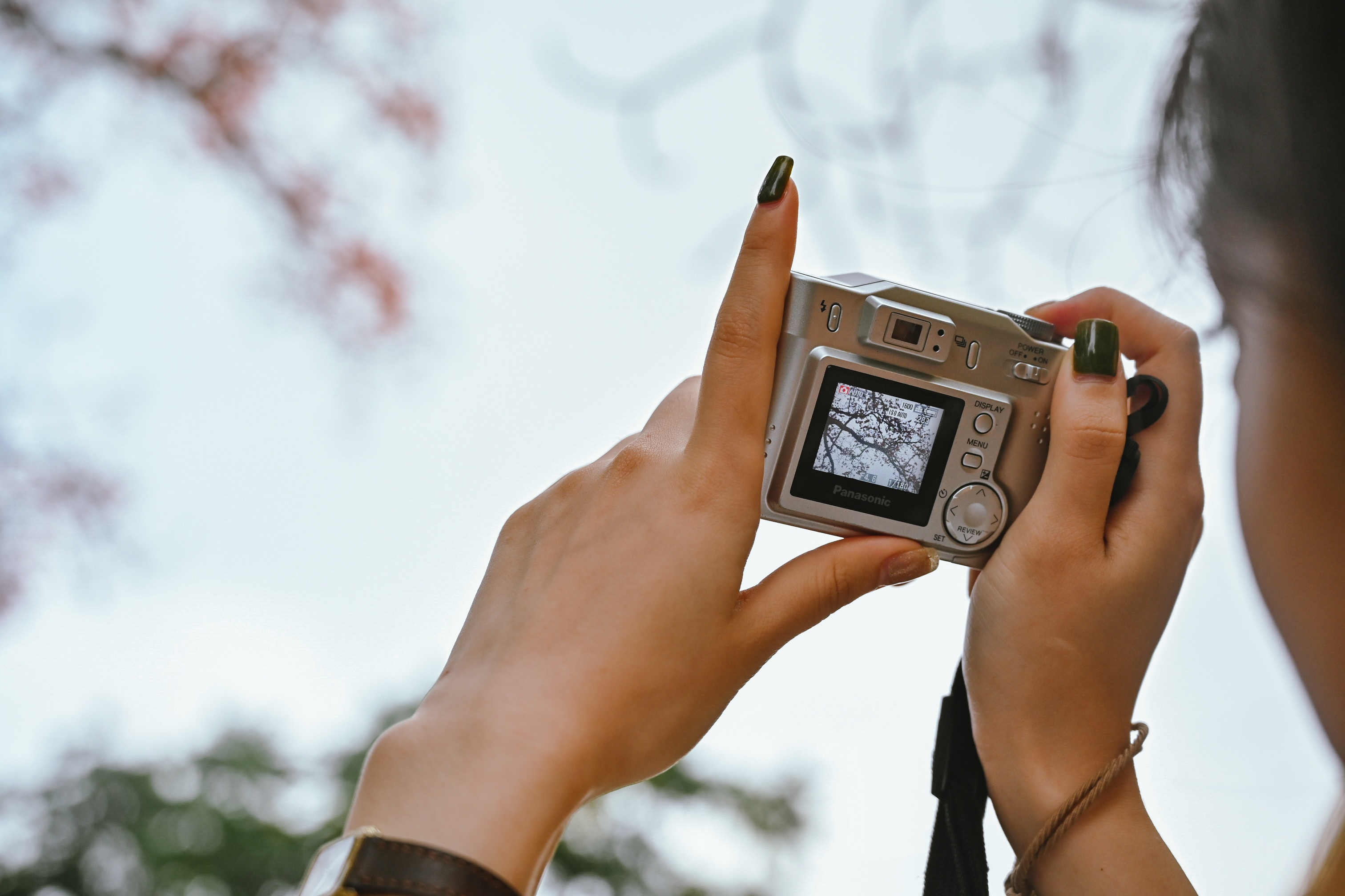 cay hoa gao co thu,  cay hoa gao,  du lich anh 4