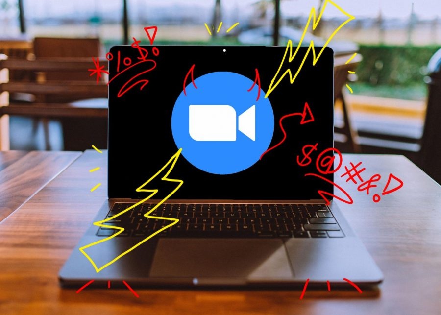 Zoom bi kien boi chinh 'nguoi nha' hinh anh