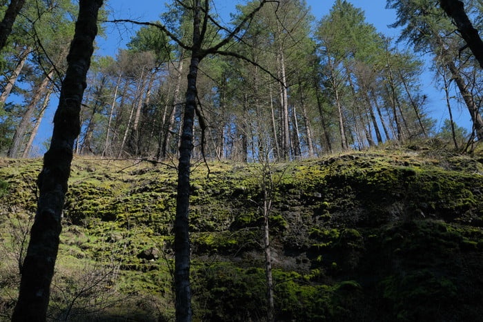 co nen nang cap len may anh doi moi nhat khong anh 3