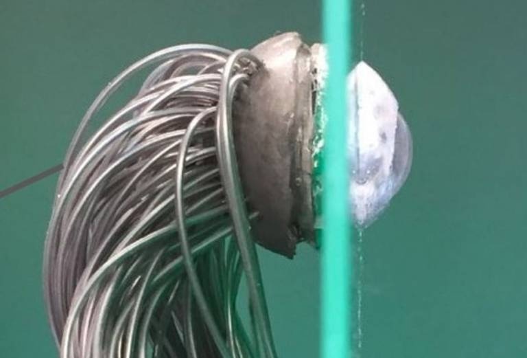 Doi mat sinh hoc da duoc che tao thanh cong hinh anh