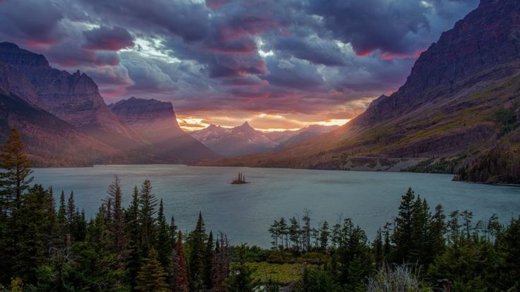 Chu nhan buc hinh nen khien nhieu dien thoai Android bi hong hinh anh