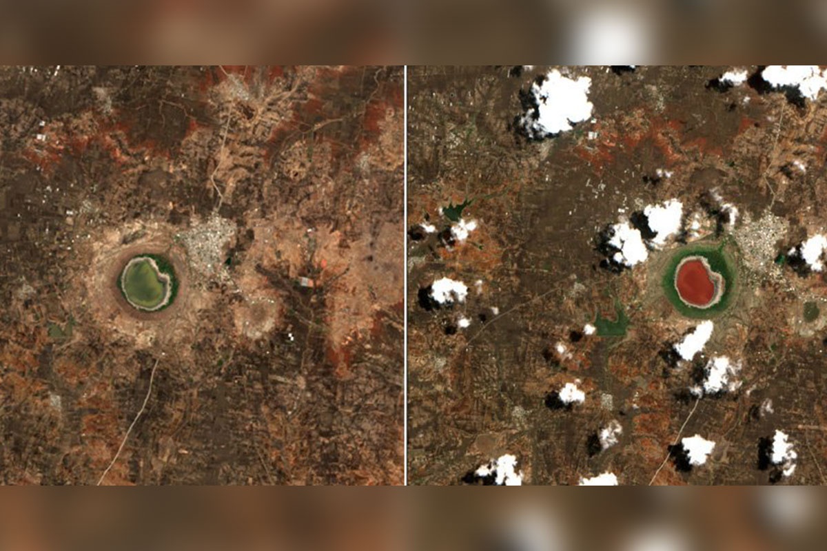 Bi an ho nuoc doi mau o An Do hinh anh