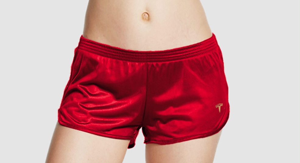 Tesla ban quan dui anh 2