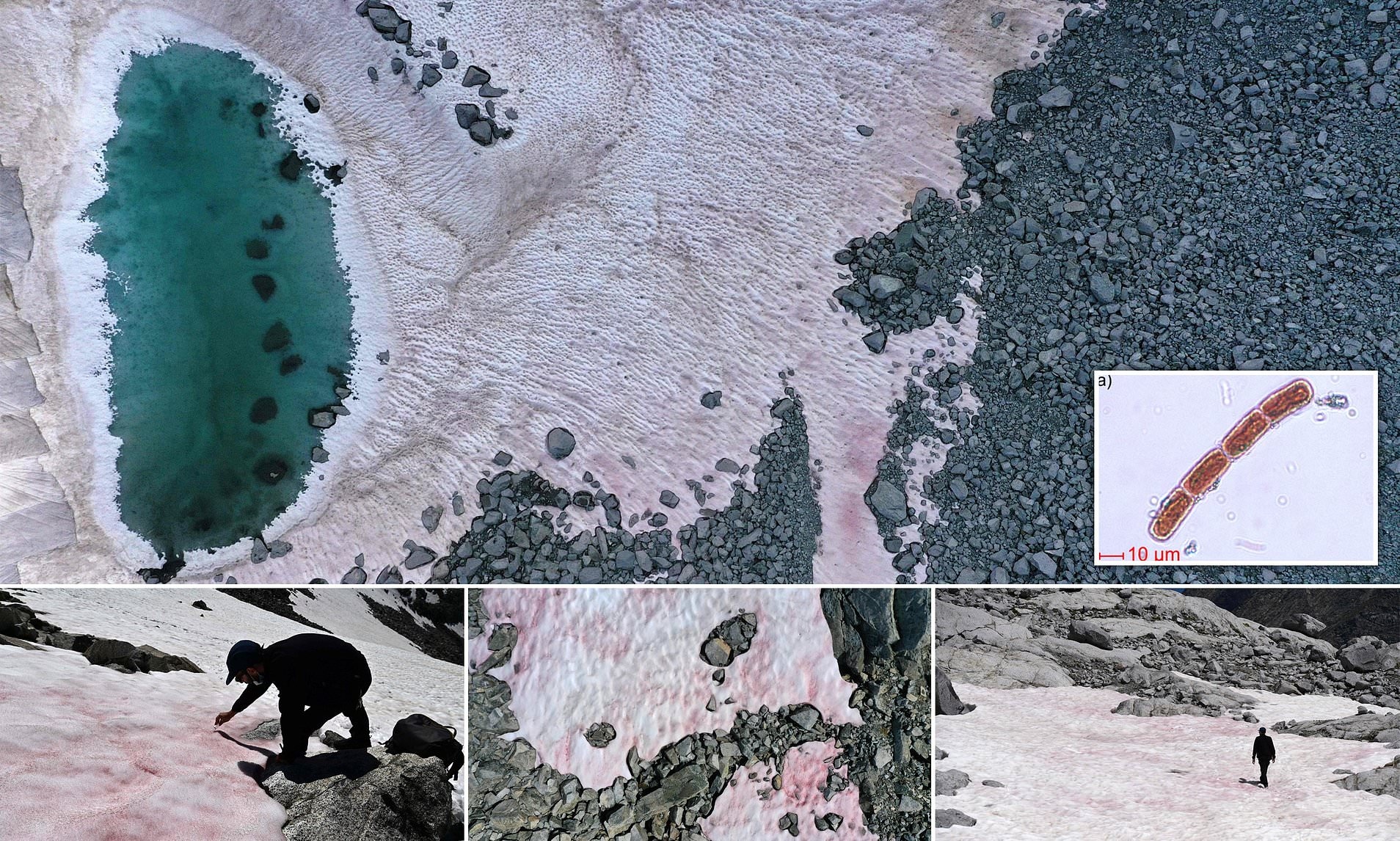 hien tuong tuyet hong do tao tren day Alps anh 2