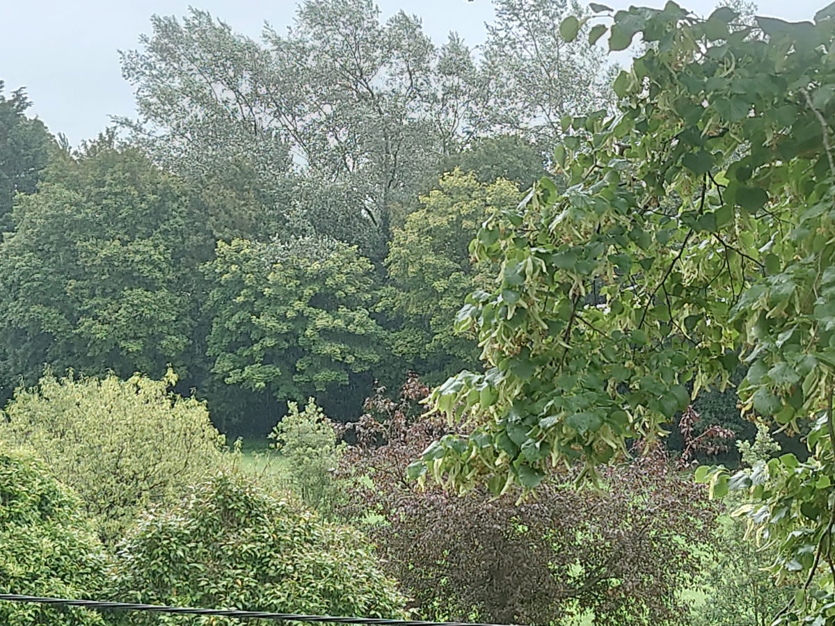 Phần mềm camera khó hiểu trên Xperia 1 II ảnh 9 Phan mem camera kho hieu tren Xperia 1 II anh 9