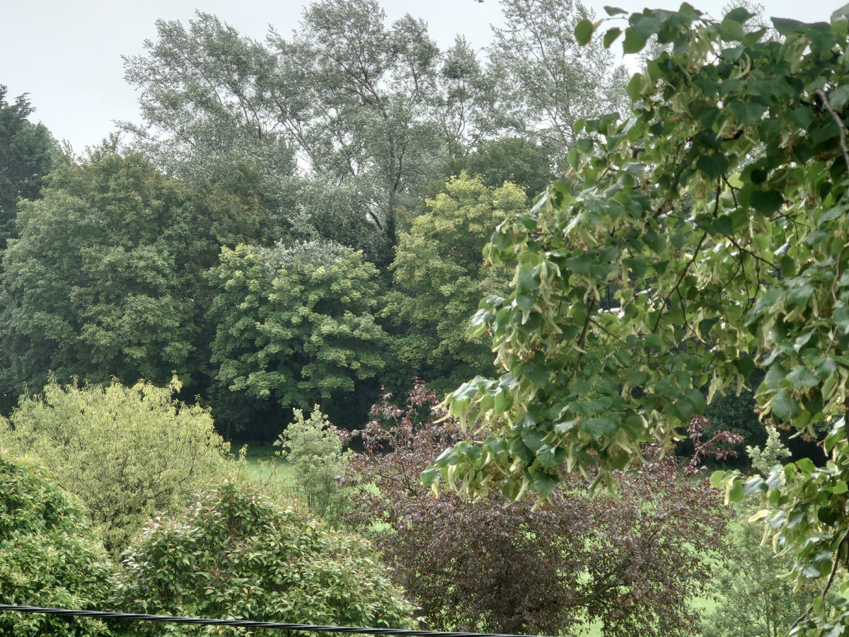 Phần mềm camera khó hiểu trên Xperia 1 II ảnh 10 Phan mem camera kho hieu tren Xperia 1 II anh 10