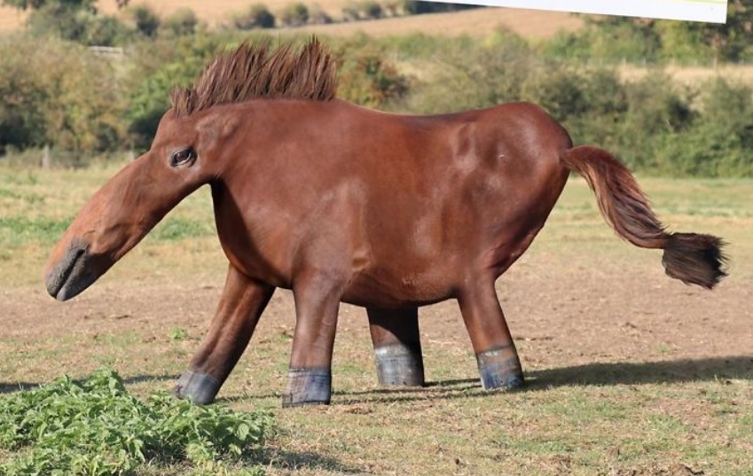 Nguoi cha Photoshop cac con vat hai huoc trong buc ve cua con hinh anh