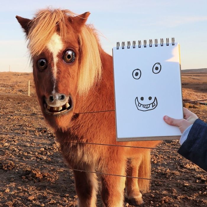 Thu vi dong vat duoi goc nhin tre con anh 17