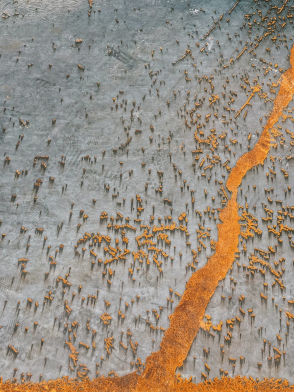 iPhone 4 thang giai nhiep anh bang iPhone 2020 anh 6