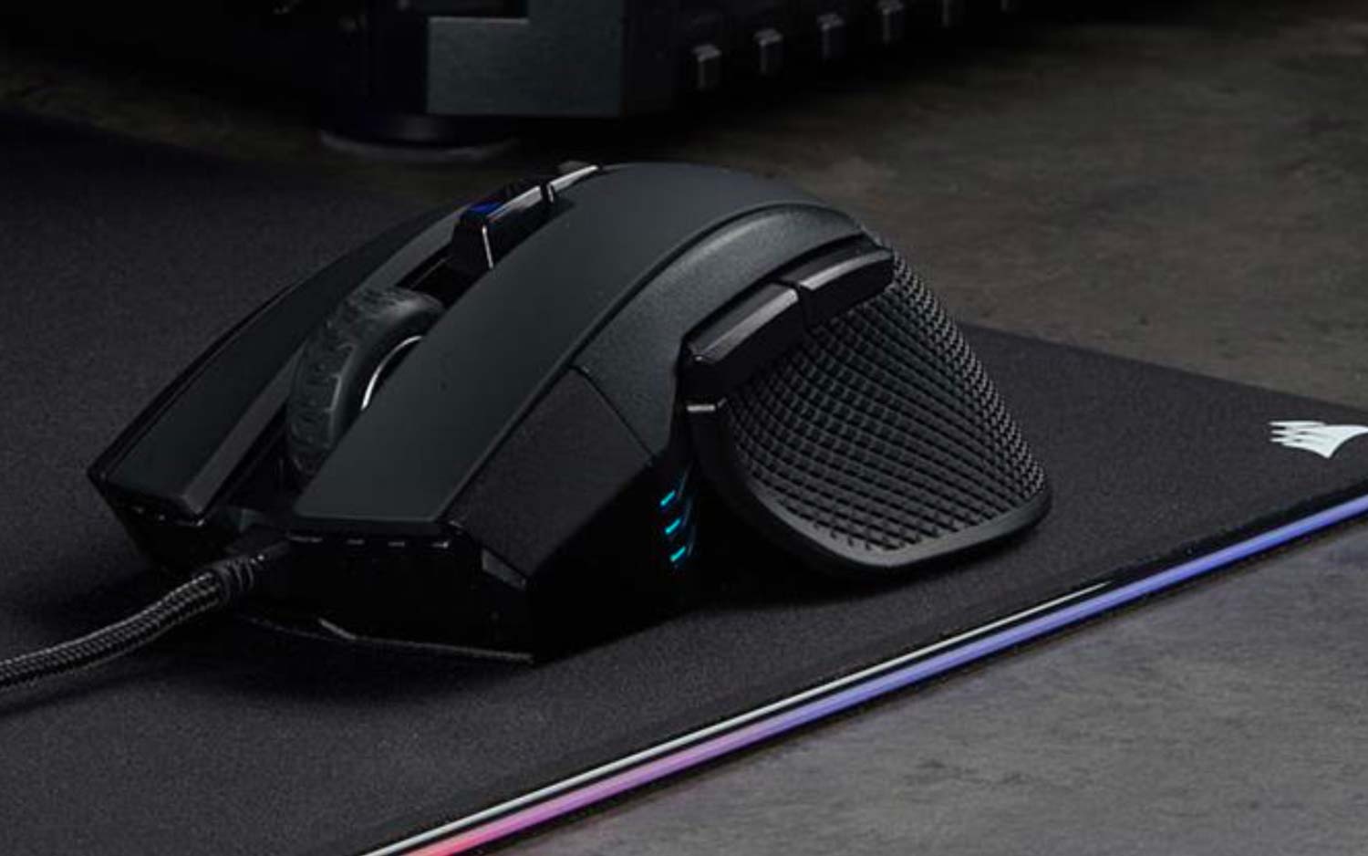 Loat chuot choi game dang chu y anh 3