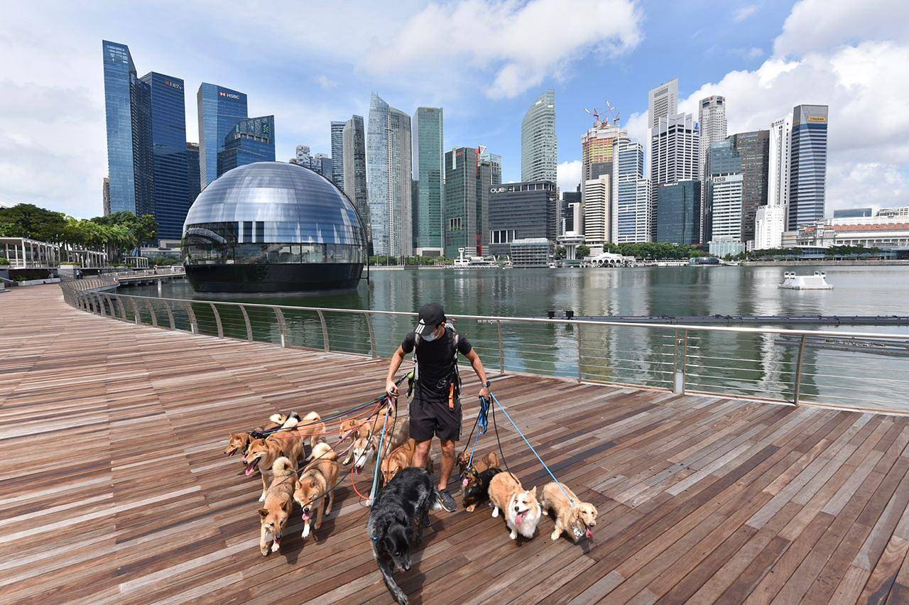 Apple Store tai Marina Bay Sands Singapore anh 3