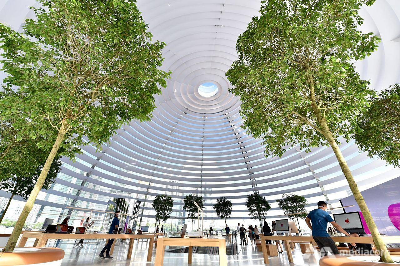 Apple Store tai Marina Bay Sands Singapore anh 15