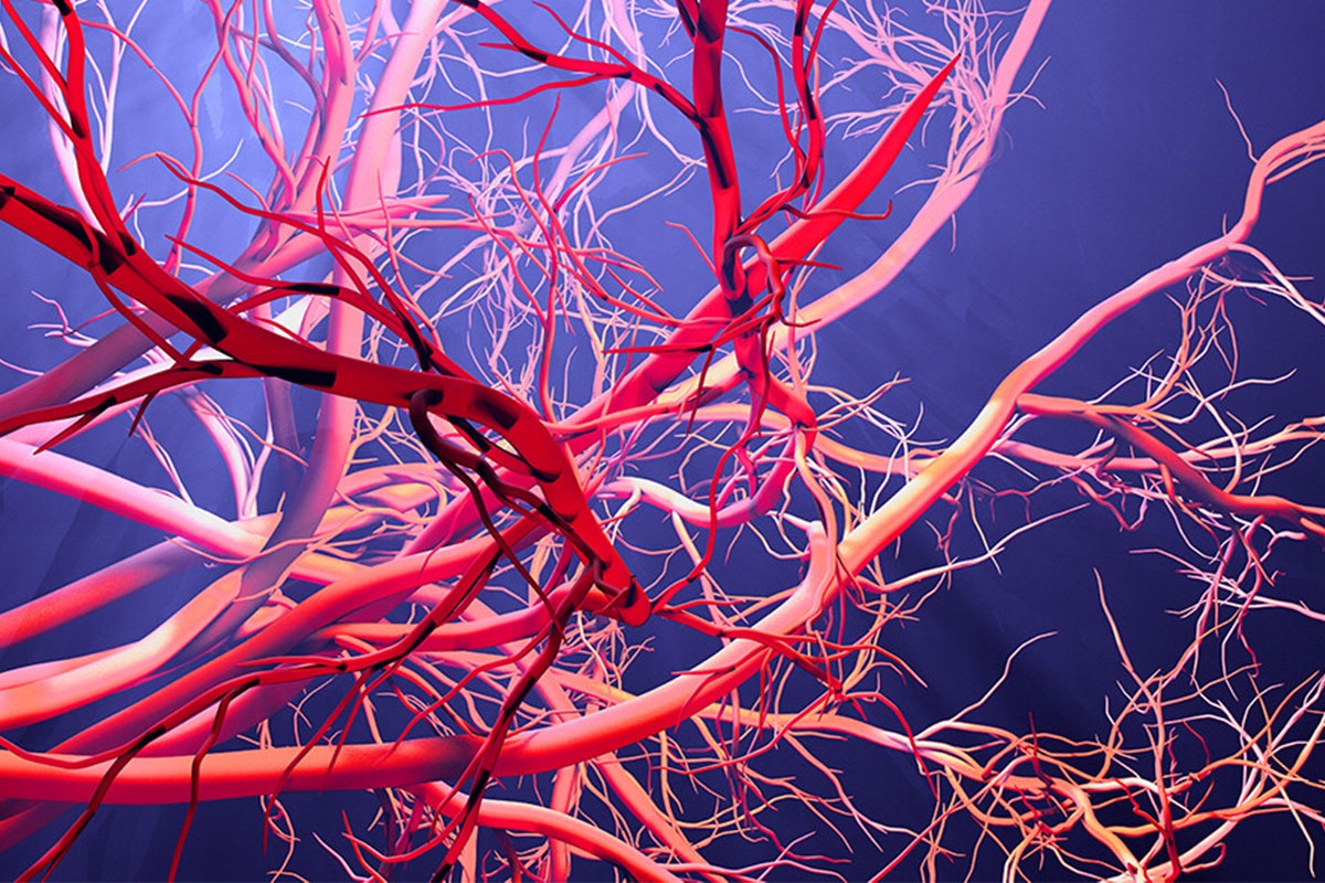 Mach mau nguoi dai hon 160.000 km hinh anh