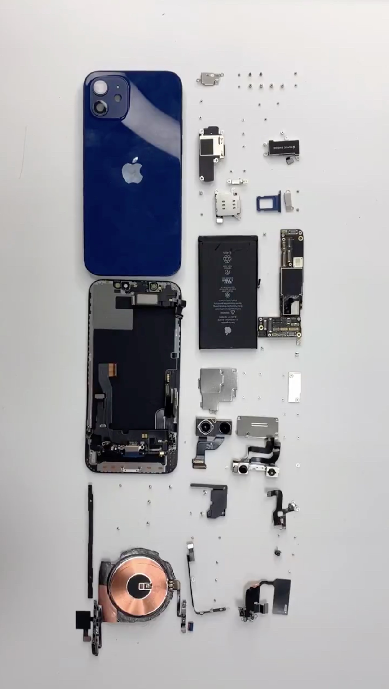 Mổ bụng xem linh kiện iPhone 12 ảnh 6 Mo bung xem linh kien iPhone 12 anh 6