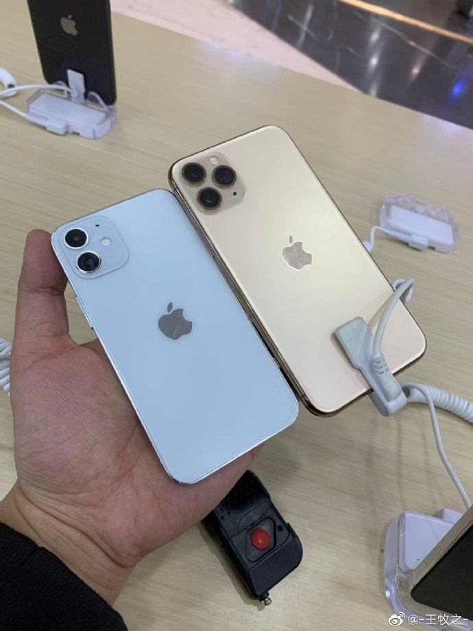 Kich thuoc thuc te cua iPhone 12 mini anh 2