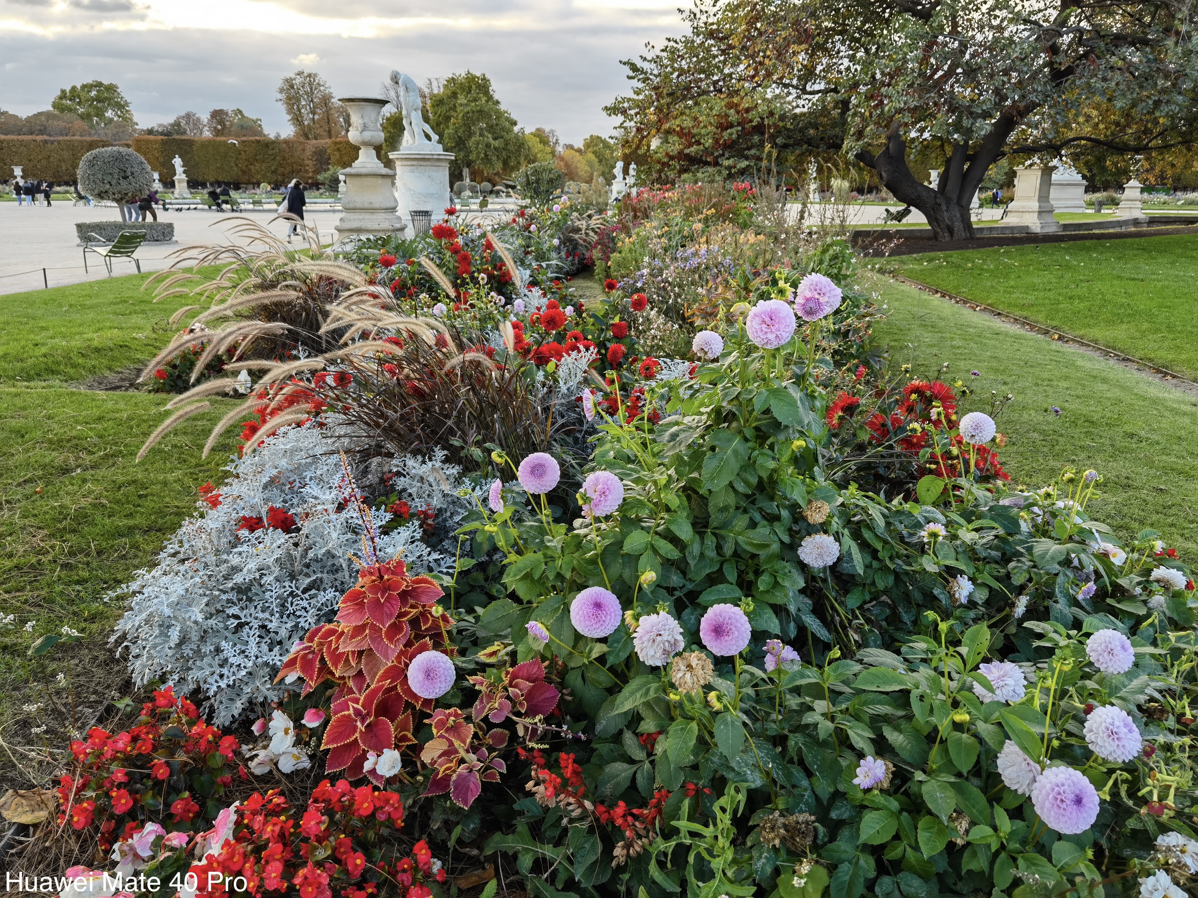 Danh gia kha nang chup anh voi camera Huawei Mate 40 Pro anh 14