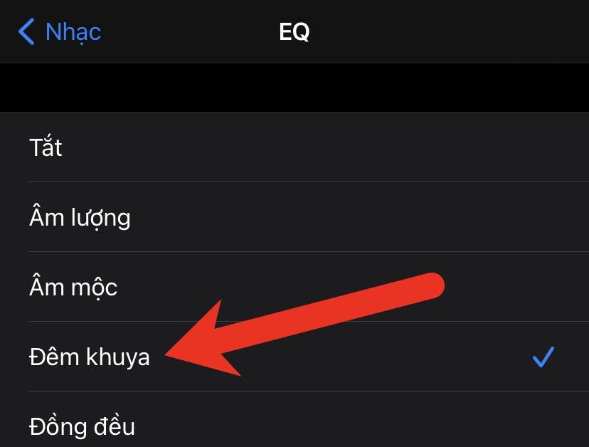 Tang am luong loa tren iPhone anh 2