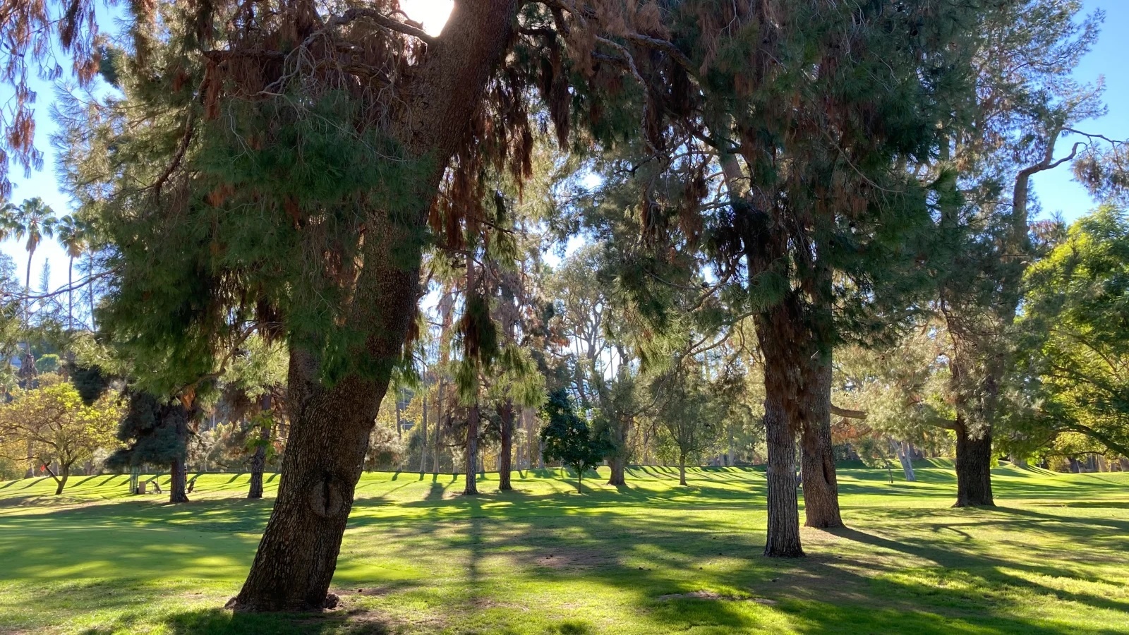 'Dung luong pin la thu khien toi khong chon mua iPhone 12 mini' anh 4