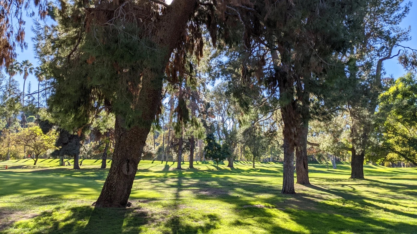 'Dung luong pin la thu khien toi khong chon mua iPhone 12 mini' anh 5