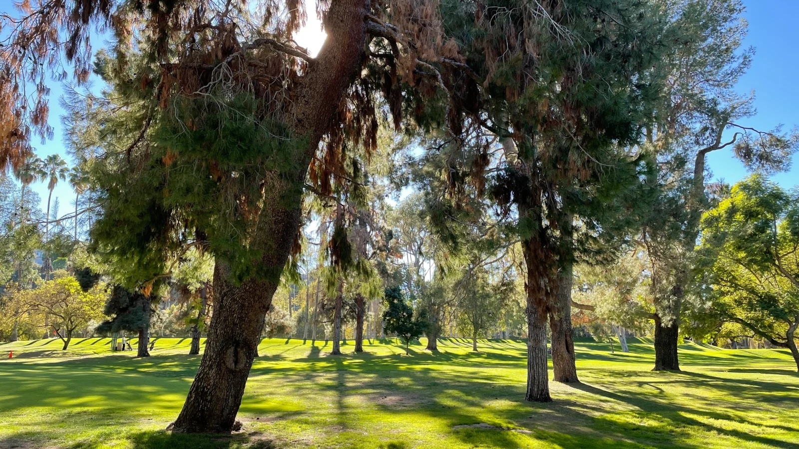 'Dung luong pin la thu khien toi khong chon mua iPhone 12 mini' anh 3