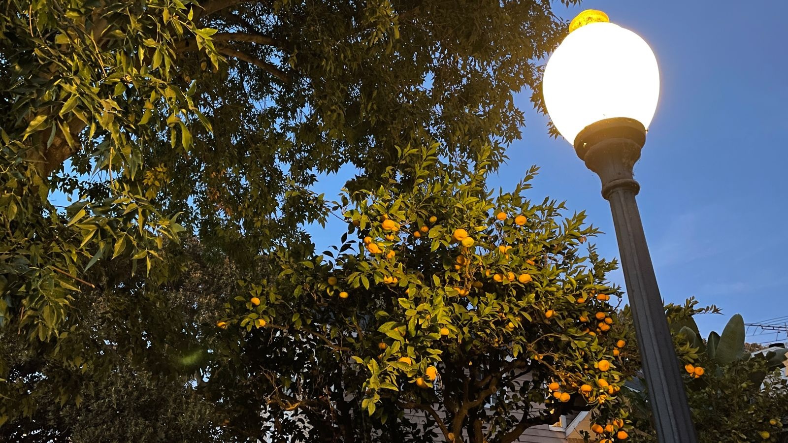 'Dung luong pin la thu khien toi khong chon mua iPhone 12 mini' anh 6