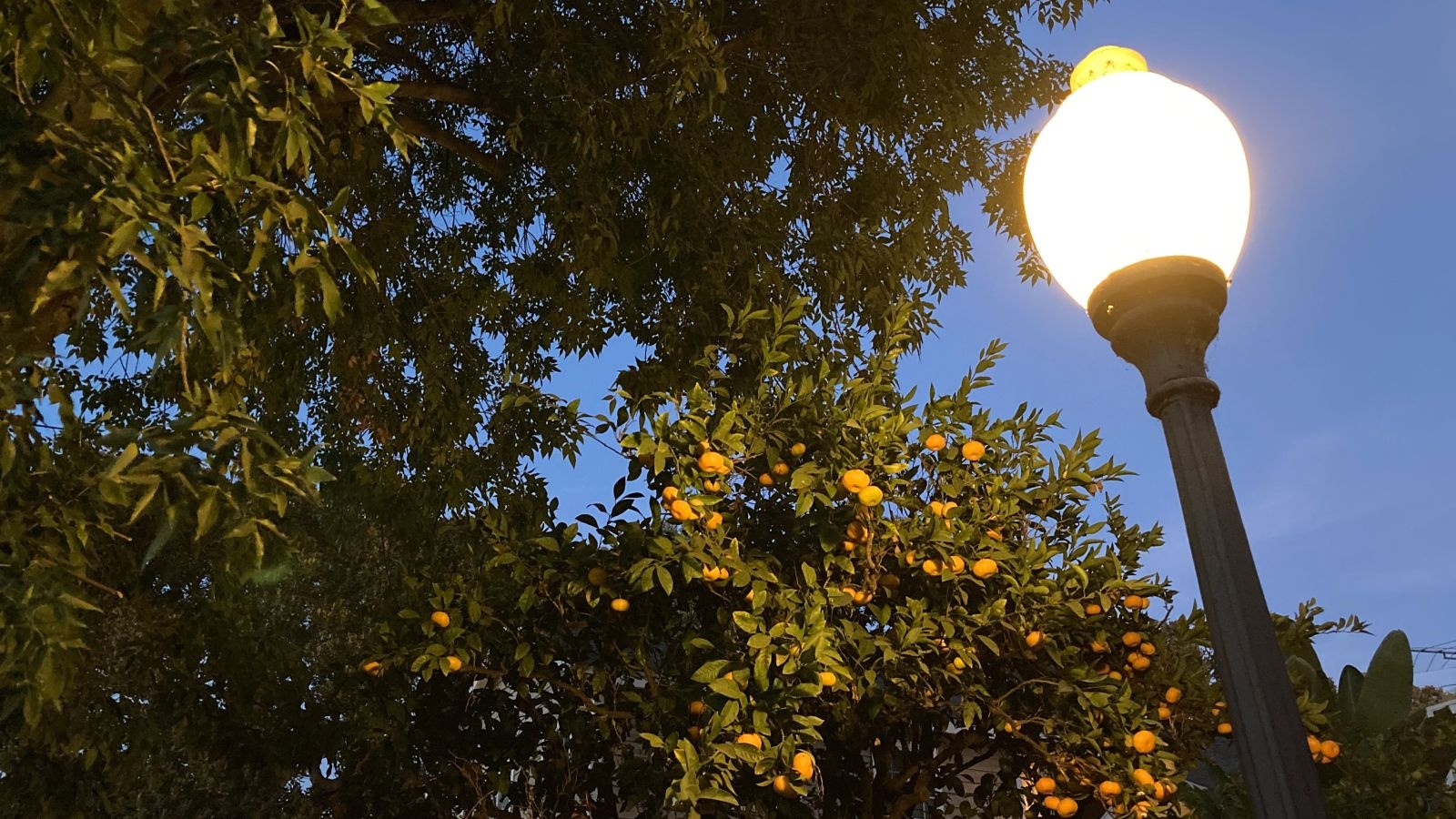 'Dung luong pin la thu khien toi khong chon mua iPhone 12 mini' anh 7