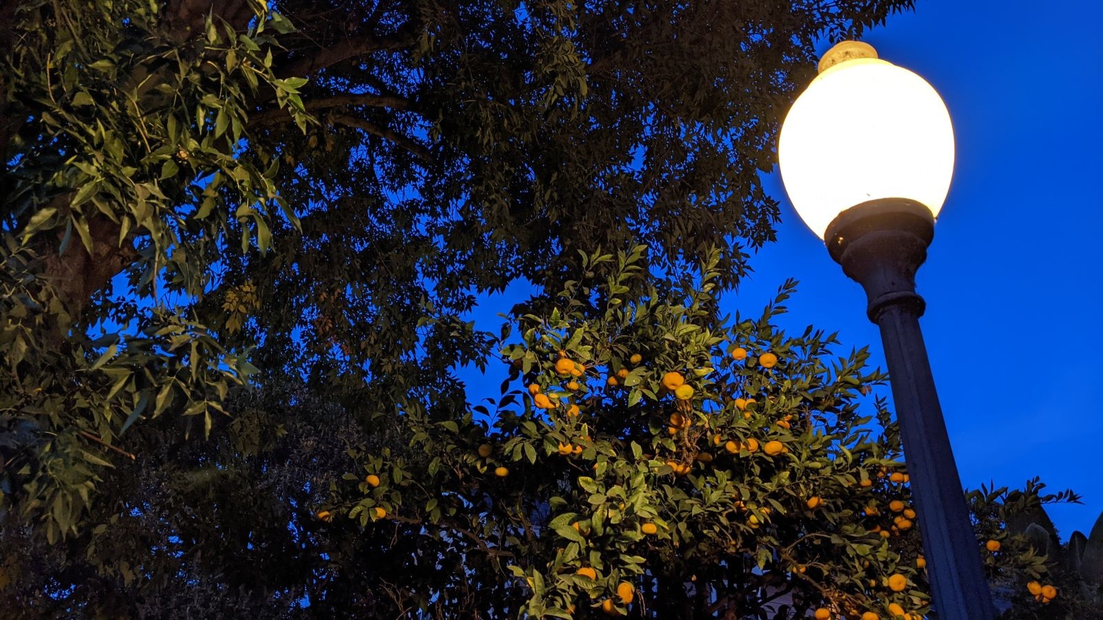 'Dung luong pin la thu khien toi khong chon mua iPhone 12 mini' anh 8