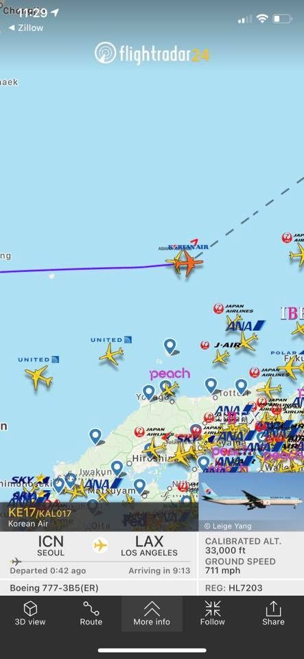 Chuyen bay ve My cho linh cuu nghe si Chi Tai anh 1