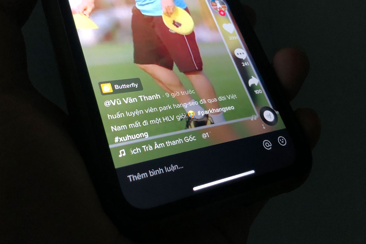 Que Ngoc Hai, HLV Park Hang-seo bi loan tin qua doi tren TikTok hinh anh