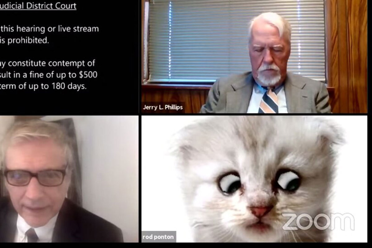 Luat su bat bo loc meo tren Zoom ngay trong phien dieu tran hinh anh