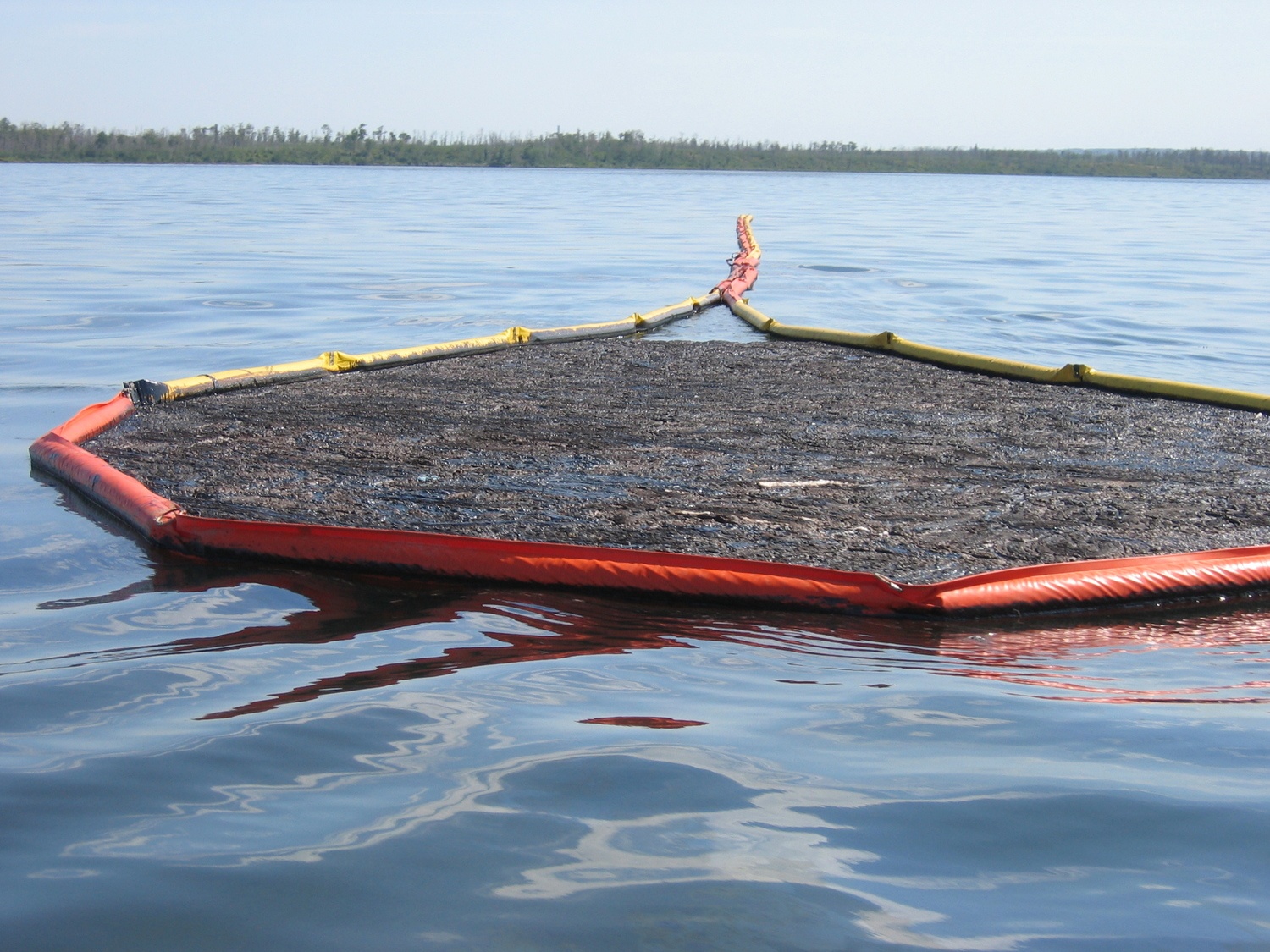 Bach tuoc khong lo tren Google Maps anh 2