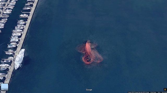 'Bach tuoc khong lo' va nhung thu ky la tren Google Maps hinh anh