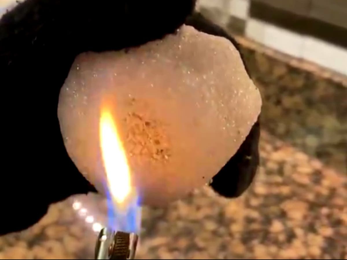 Video dot tuyet o Texas lan truyen tren TikTok hinh anh