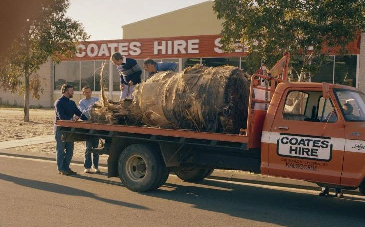 De tram vu tru roi nhung chi bi phat 400 USD hinh anh