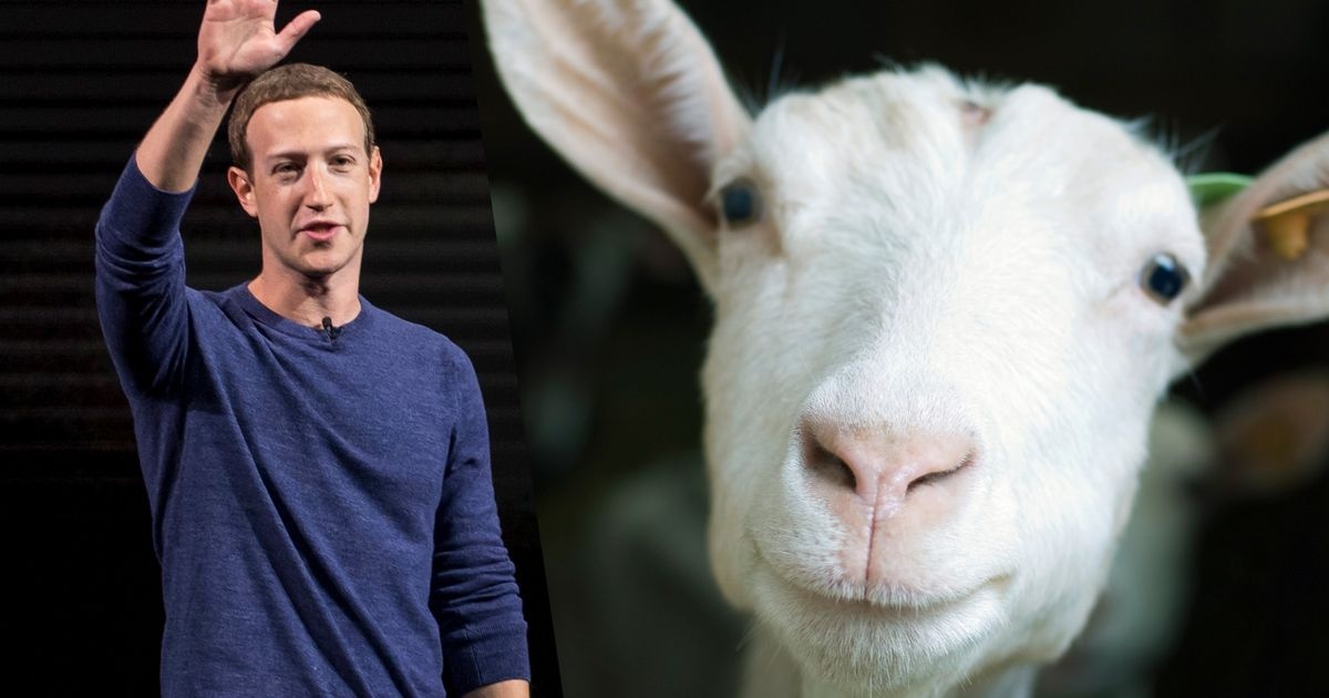 Mark Zuckerberg giet thit de anh 1