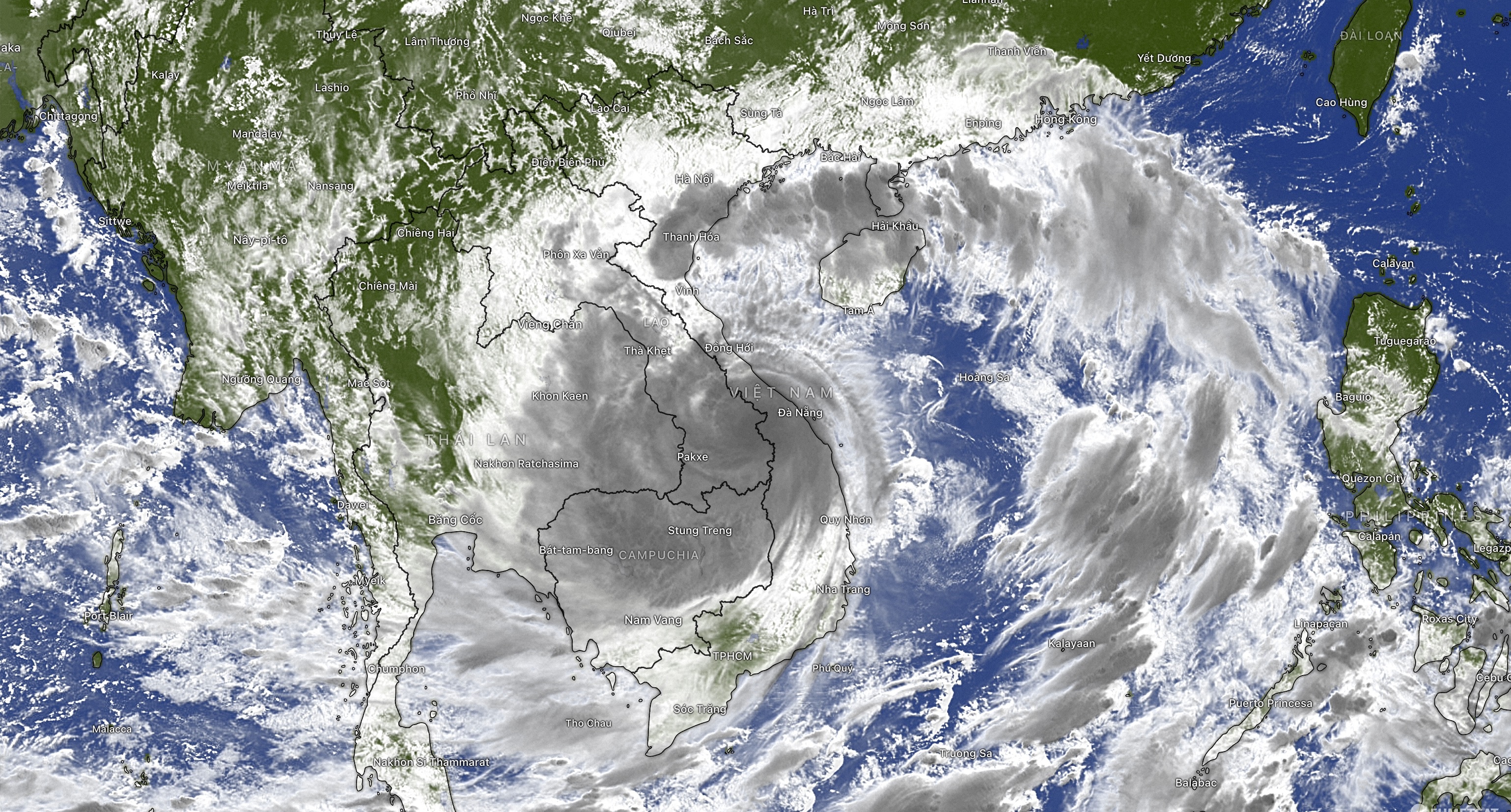 Bao Noru tu ve tinh anh 12