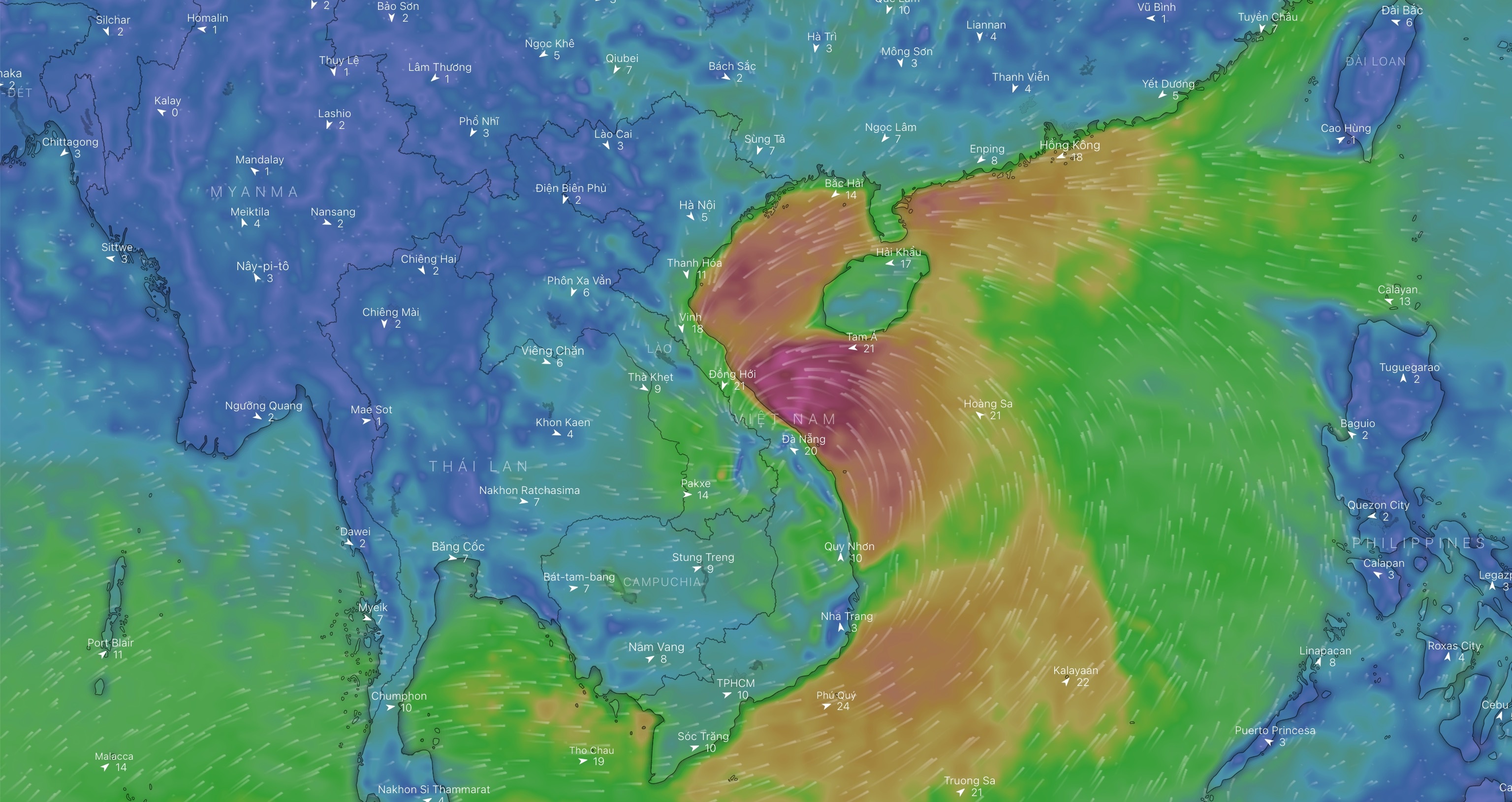 Bao Noru tu ve tinh anh 13