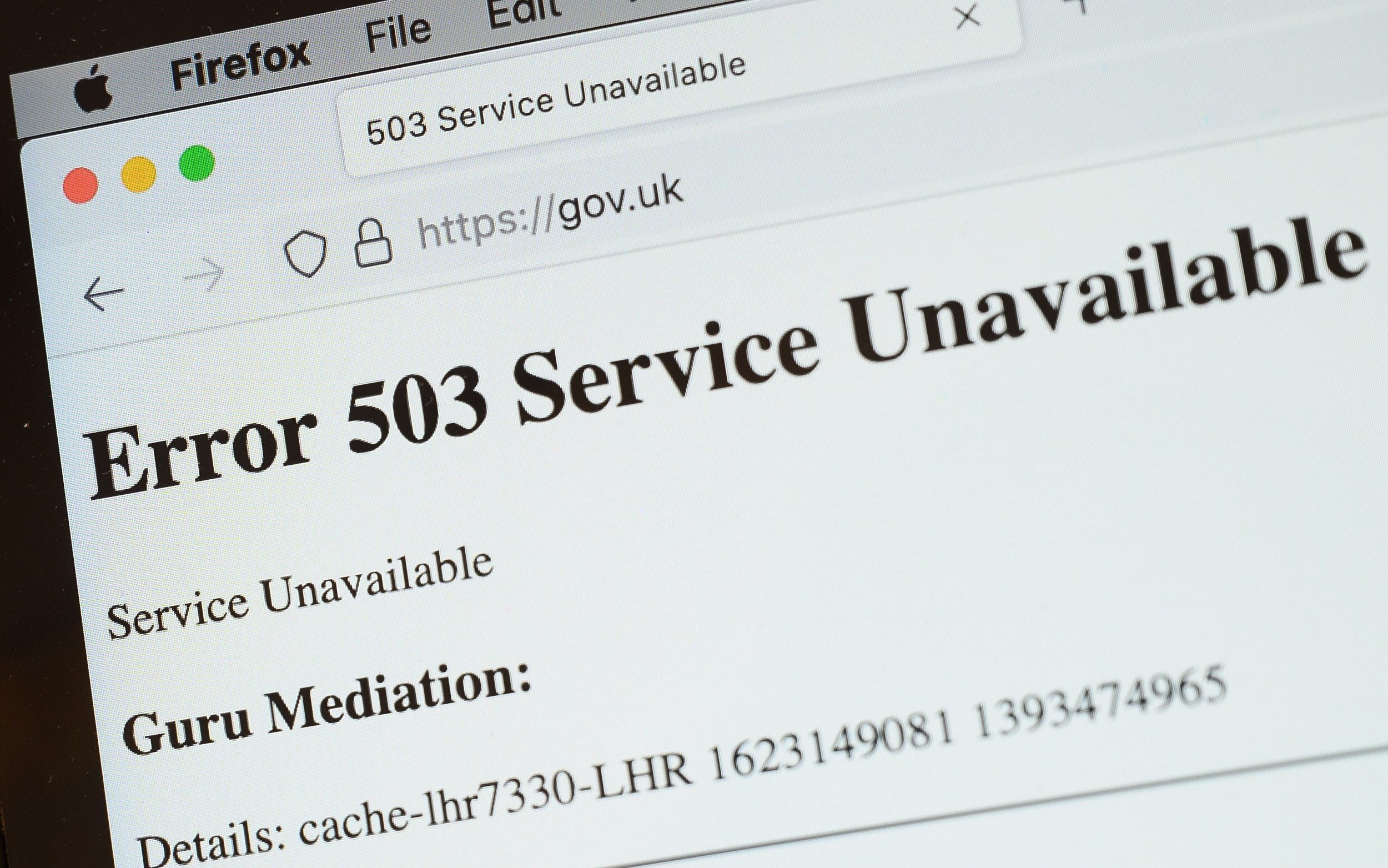 Cap quang bien lai dut anh 2