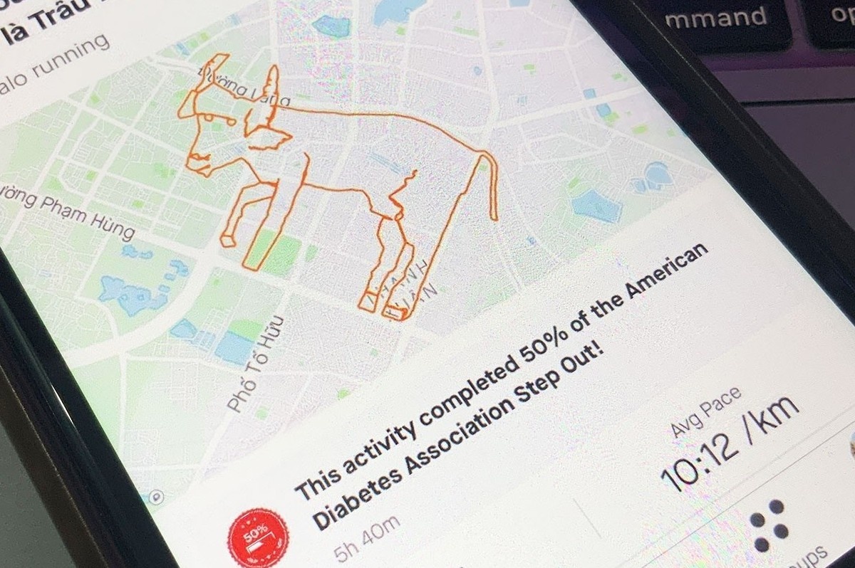 Chay bo de ve hinh trau, rua tren ban do Ha Noi hinh anh