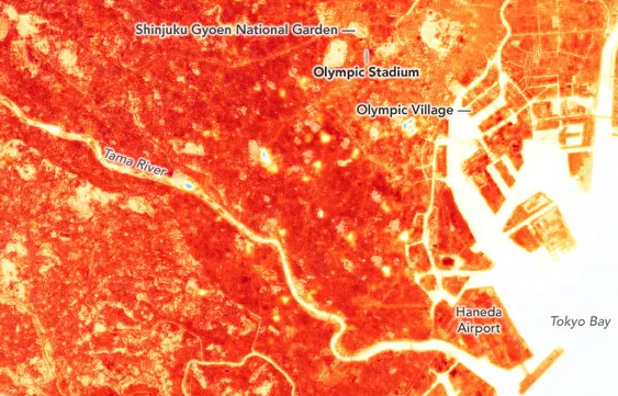 Hien tuong dao nhiet o Tokyo qua anh ve tinh hinh anh