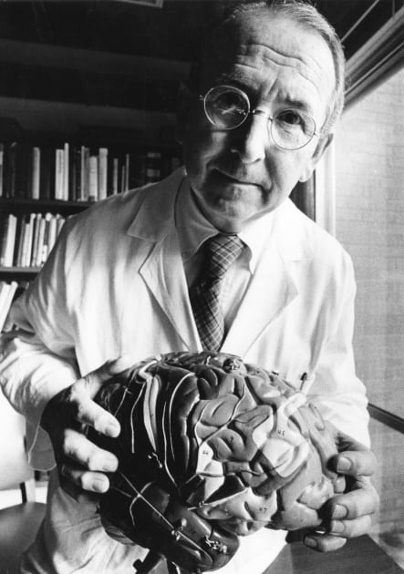 Gia thuyet ve nao bo sat cua Paul MacLean anh 3