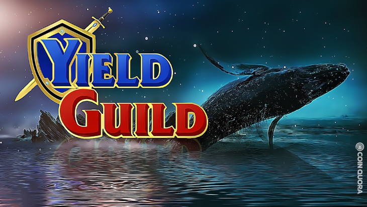 Startup tien ma hoa kiem 12, 5 trieu USD trong 31 giay anh 1