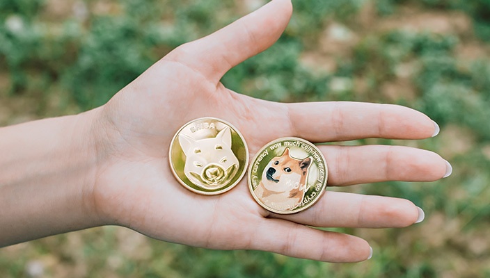 Cho Shiba dat hang nho cac loai coin dong vat anh 2