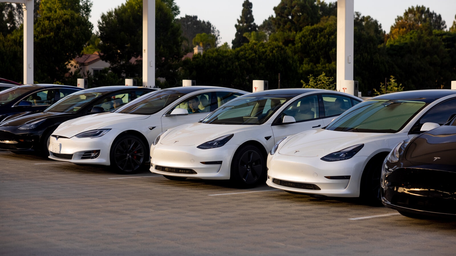 Ly do giup Tesla tru vung truoc khung hoang anh 1