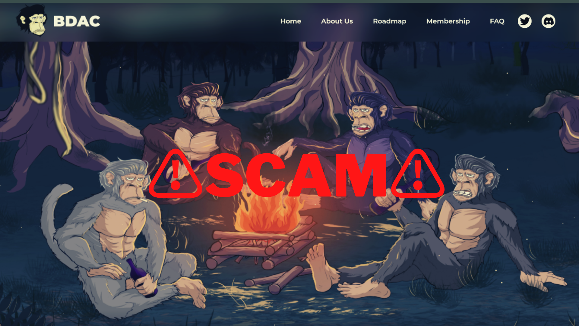 Chu bo suu tap NFT bo tron voi 1,3 trieu USD hinh anh