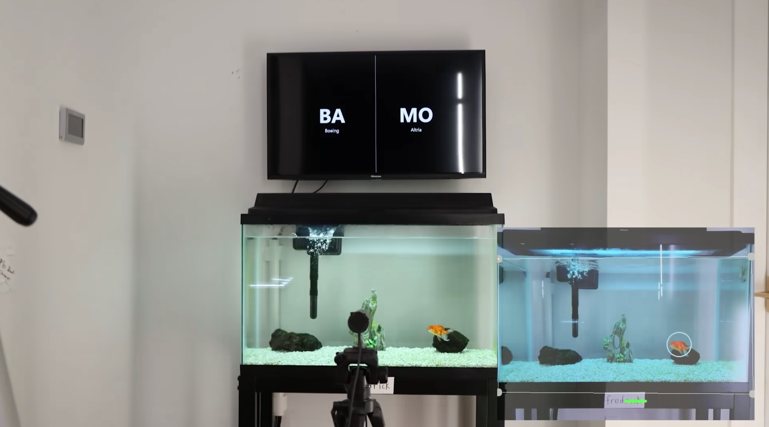 Lai hon 1.000 USD nho bien ca vang thanh trader chung khoan anh 1