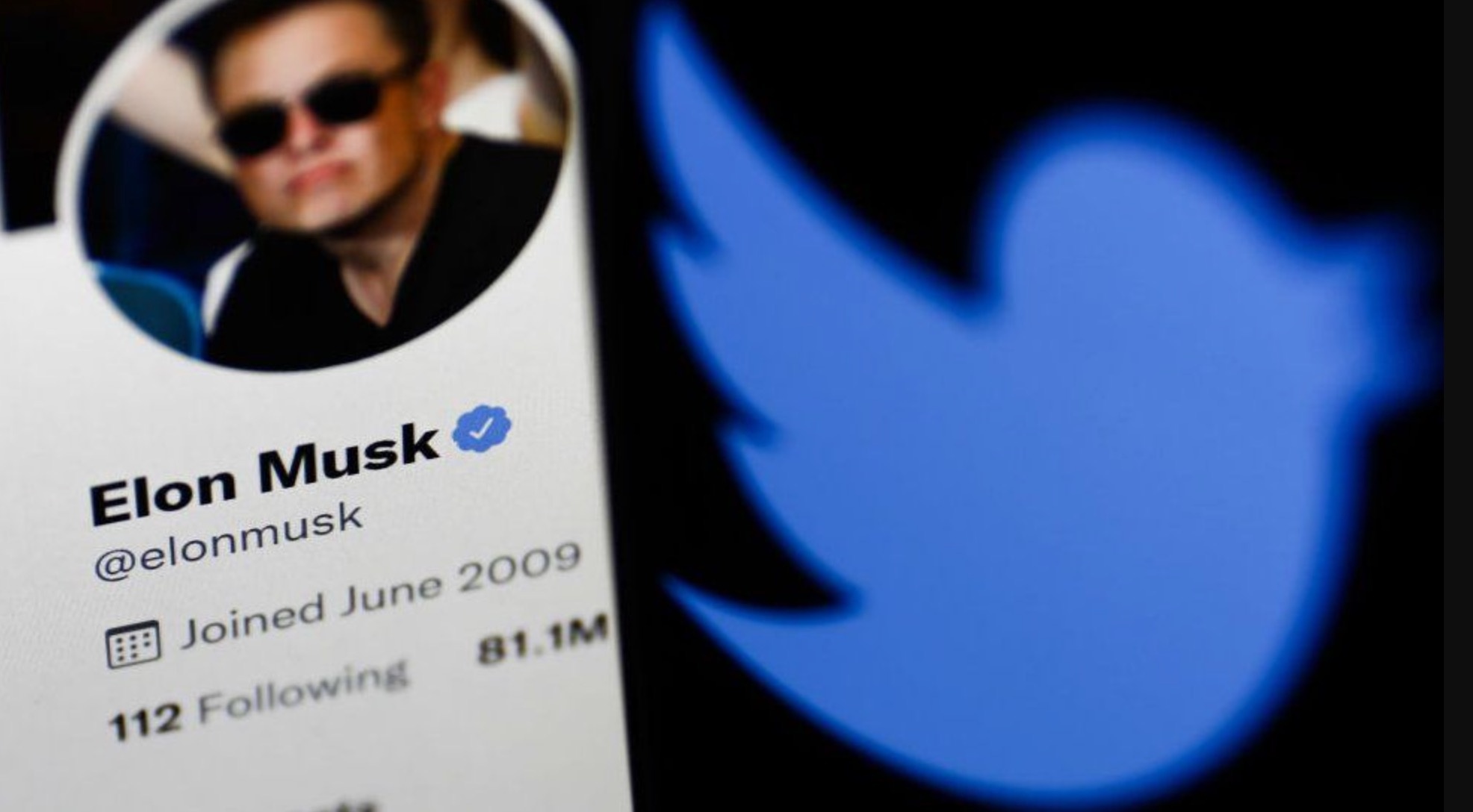 Elon Musk muon thau tom Twitter anh 2