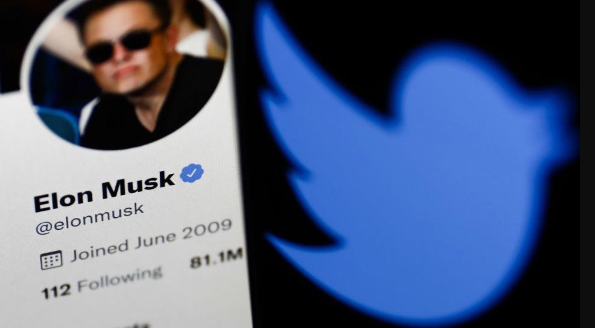 Twitter chap nhan ban minh cho Elon Musk anh 1