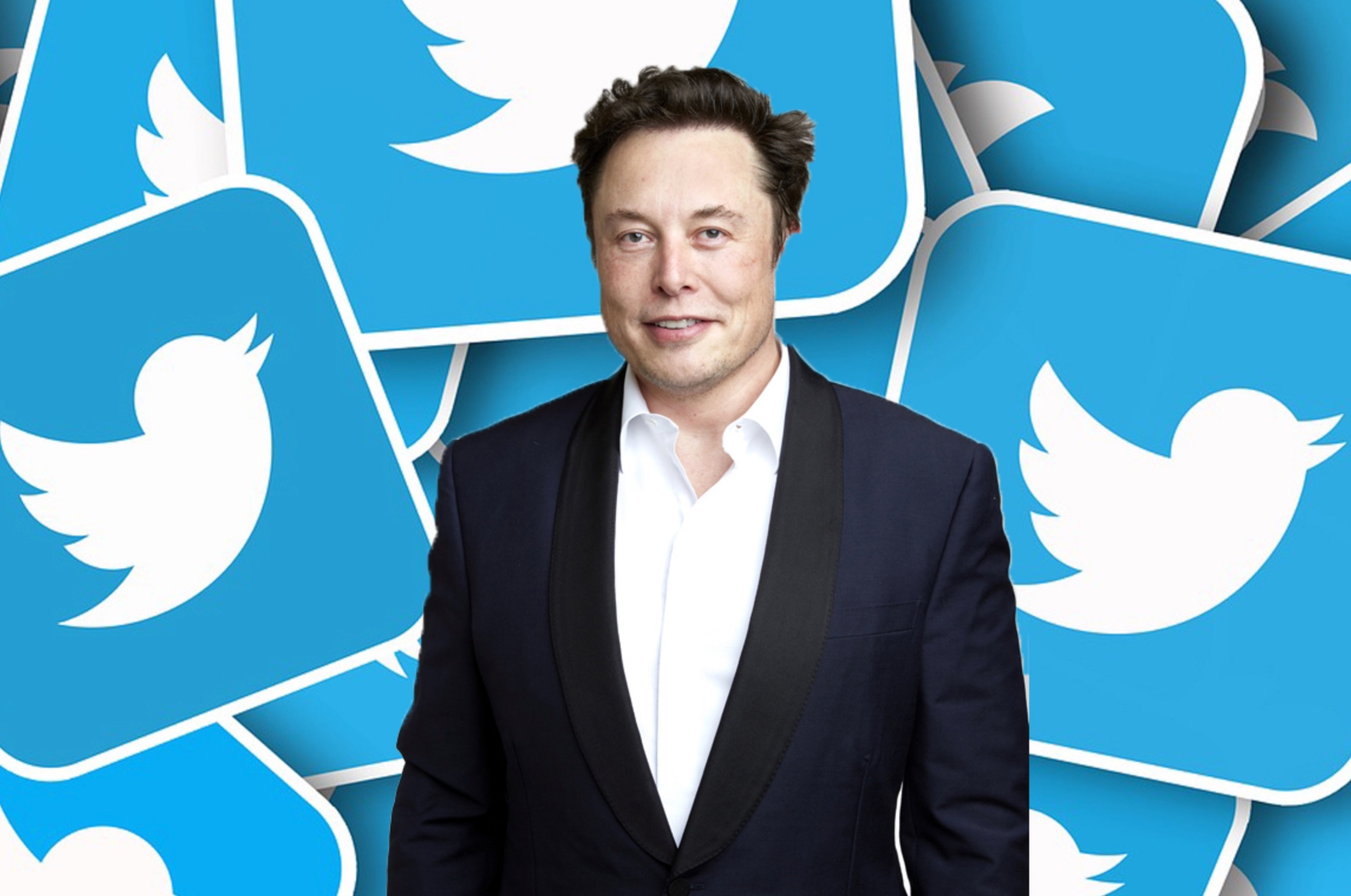 Elon Musk muon vay them tien de mua Twitter hinh anh