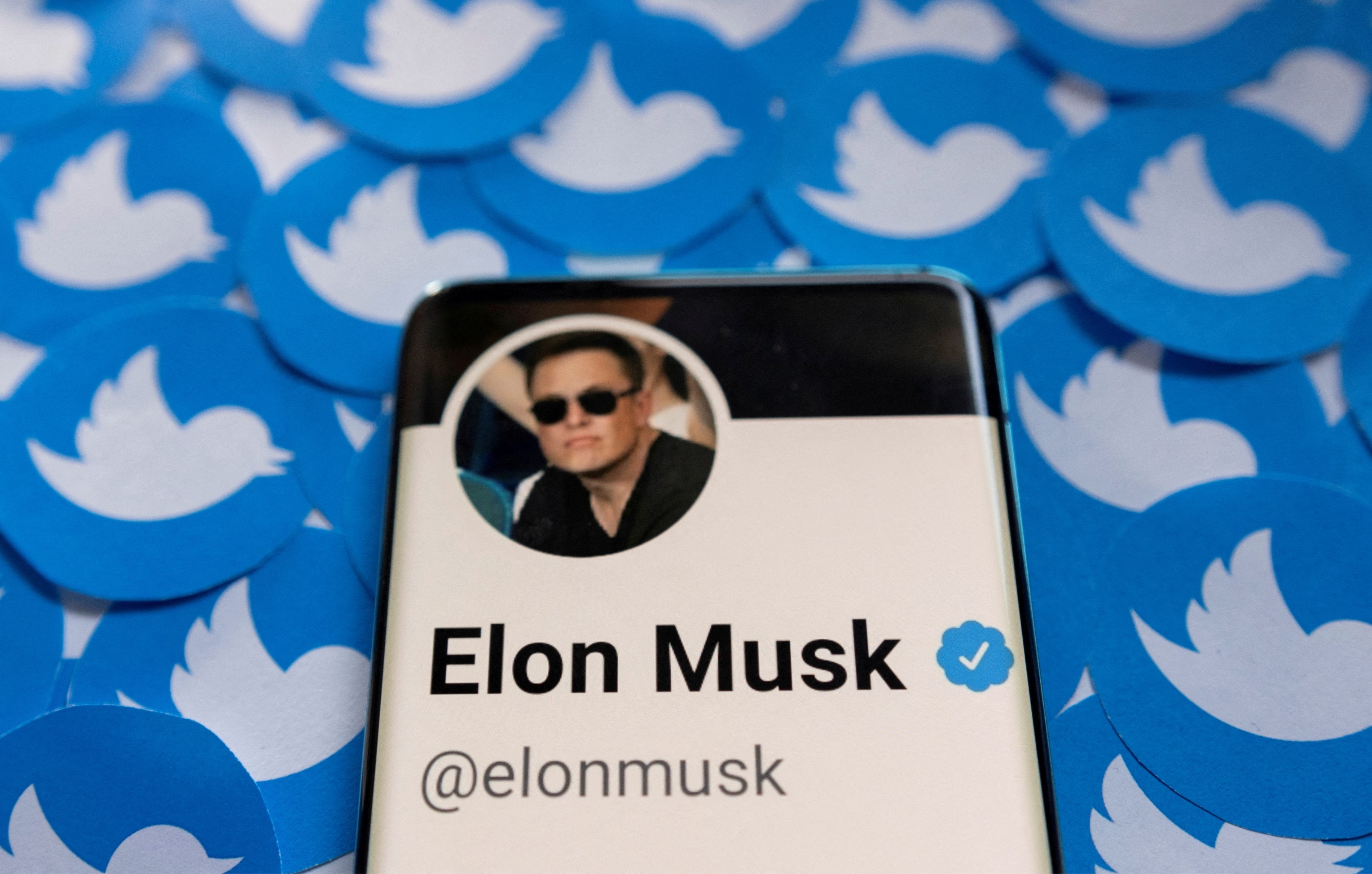 Elon Musk bat ngo doi ke hoach voi Twitter hinh anh